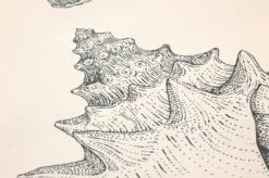 Ferm LIVING Tapete Shells Cremeweiss -Dekor Verkauf 420253 B Shells 2880x1440