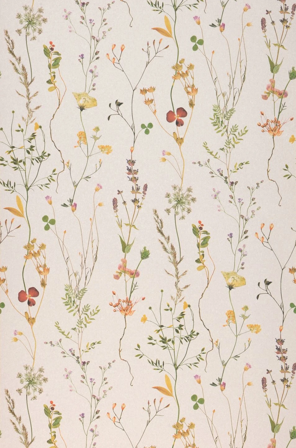 Tapete Lahna Ginstergelb 3 Tapete Lahna Ginstergelb