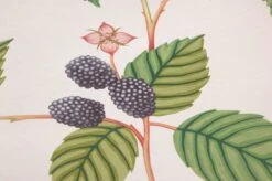 Tapete Francesca Grüntöne -Dekor Verkauf 463311 B Francesca 2880x1440