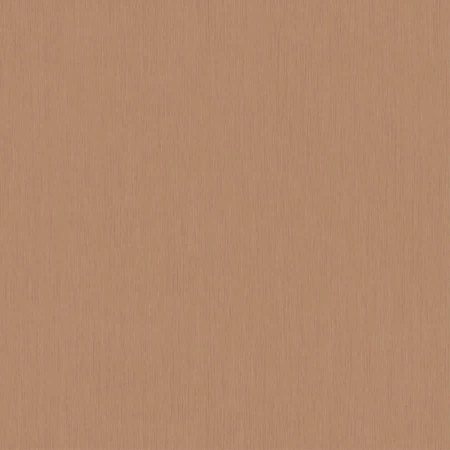 Dieter Langer Tapete Vlies Strié Struktur Beige-braun 58815 3 Dieter Langer Tapete Vlies Strié Struktur Beige-braun 58815