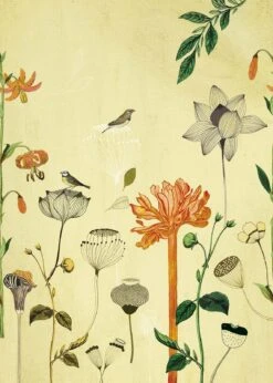 Fototapete Natur Vogel Gelb Orange Onszelf 532036 -Dekor Verkauf Fototapete Natur Vogel Gelb orange Onszelf 53203 1