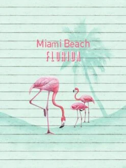 Fototapete Vlies Flamingo Miami Beach Florida 225x300cm