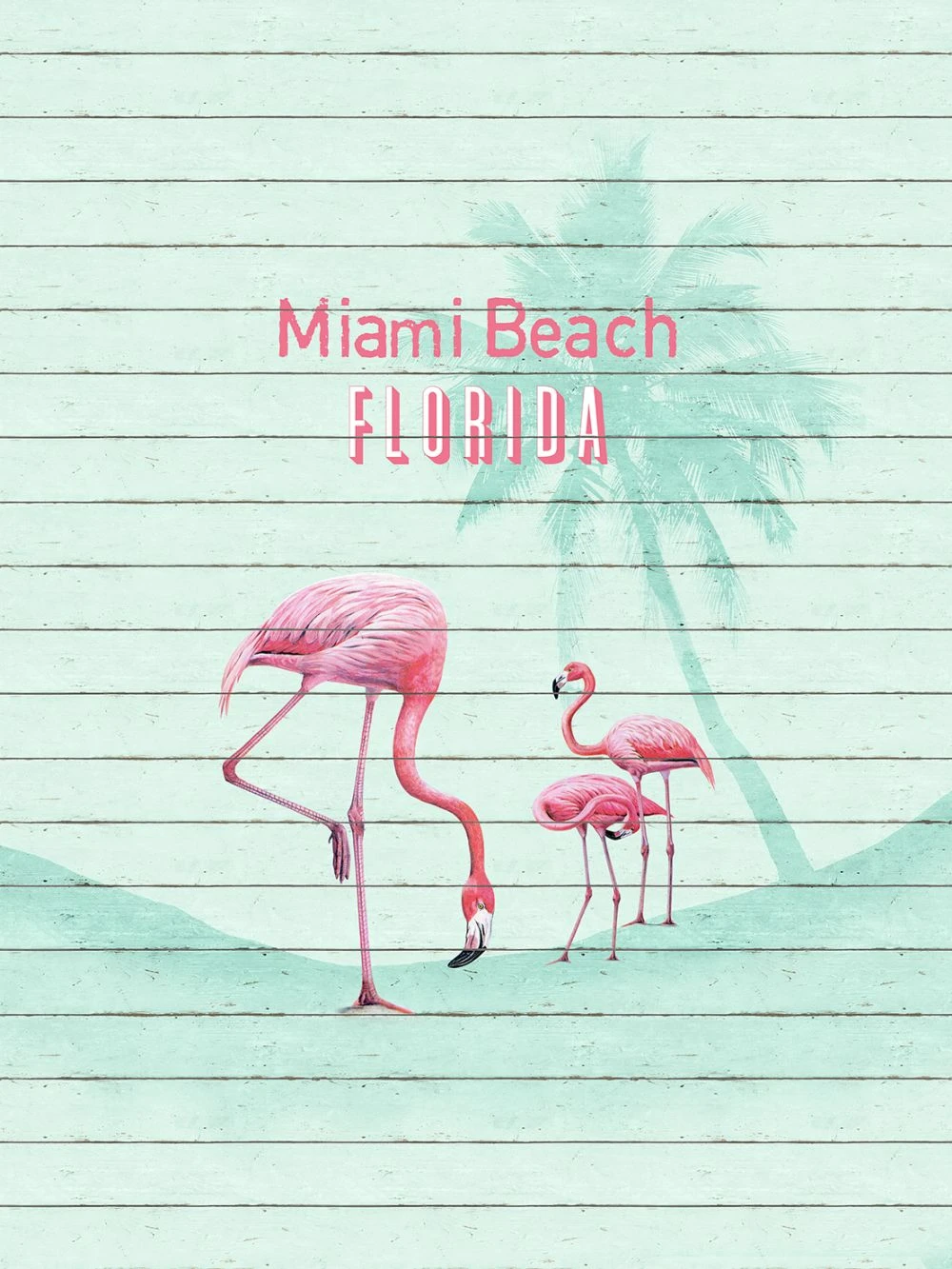 Fototapete Vlies Flamingo Miami Beach Florida 225x300cm 3 Fototapete Vlies Flamingo Miami Beach Florida 225x300cm
