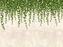 Dekor Verkauf -Dekor Verkauf Fototapeten Blaetter Efeu Wand grau gruen Vlies 38239 1 63209618