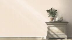 Barbara Home Vliestapete Einfarbig Hellrosa 537147 -Dekor Verkauf Tapete Vlies 537147 Einfarbig hellrosa 63203603 2