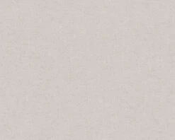 Tapete Vlies Einfarbig Used-Look Beige-grau 36721-4