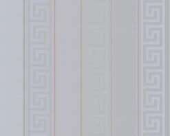 Versace Home Tapete Streifen Grau Gold Glanz 93524-5